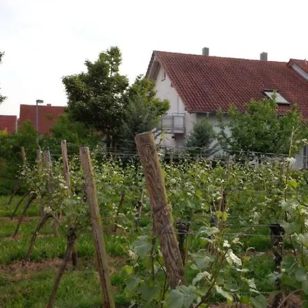 Schones In Modernem Haus Lauffen am Neckar